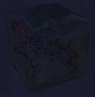 a clear gelatinous cube